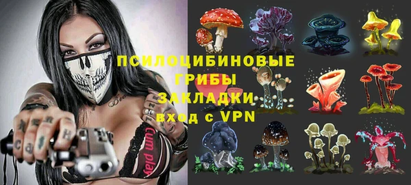тгк Михайловка