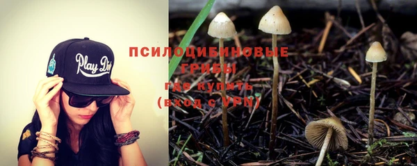 марки nbome Михайлов