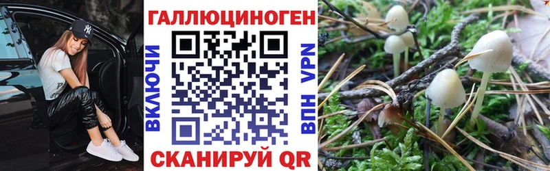 Галлюциногенные грибы MAGIC MUSHROOMS  что такое   Торжок 